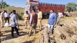 How A Routine Timber Bust Exposed A Massive Terror-Funding Network
