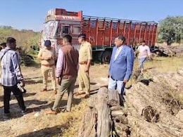 How A Routine Timber Bust Exposed A Massive Terror-Funding Network