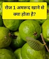 अमरूद है इन 10 बीमारियों का काल, खाने का सही समय, एक दिन में कितने खाएं और किन लोगों को नहीं खाना चाहिए