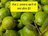 अमरूद है इन 10 बीमारियों का काल, खाने का सही समय, एक दिन में कितने खाएं और किन लोगों को नहीं खाना चाहिए