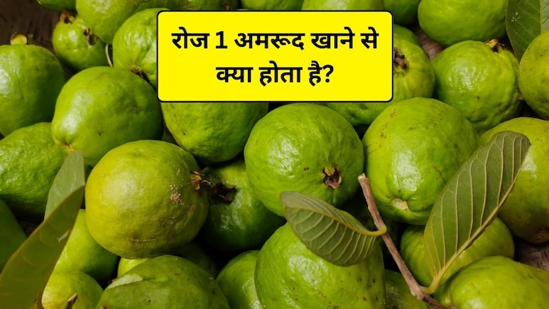 अमरूद है इन 10 बीमारियों का काल, खाने का सही समय, एक दिन में कितने खाएं और किन लोगों को नहीं खाना चाहिए