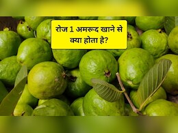 Guava Benefits: रोज 1 ​अमरूद खाने से क्या होता है? अमरूद से कौन सी बीमारी ठीक होती है, स्टडी से जानिए