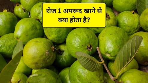Guava Benefits: रोज 1 ​अमरूद खाने से क्या होता है? अमरूद से कौन सी बीमारी ठीक होती है, स्टडी से जानिए
