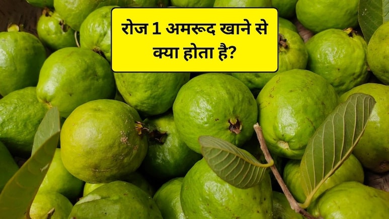 Guava Benefits: रोज 1 ​अमरूद खाने से क्या होता है? अमरूद से कौन सी बीमारी ठीक होती है, स्टडी से जानिए