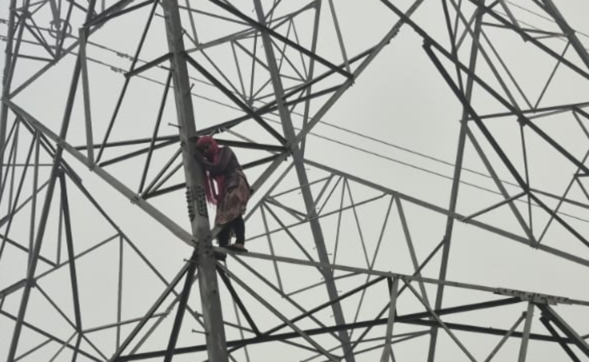 'मंगेतर' से शादी की जिद लिए बिजली के टॉवर पर चढ़ गई युवती, परिजनों की हां पर आई नीचे