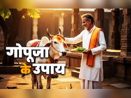 Gopuja ke upay: गोसेवा के अचूक उपाय, जिसे करते ही कटेंगे ग्रहों के कष्ट और बरसेगा देवताओं का आशीर्वाद