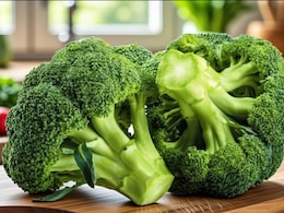 Benefits of Broccoli: गुणों से भरपूर है ब्रोकली, फैटी लिवर से डिटॉक्स तक सर्दियों में शरीर के लिए बेहद है फायदेमंद 