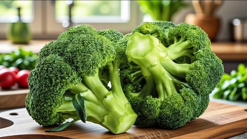 Benefits of Broccoli: गुणों से भरपूर है ब्रोकली, फैटी लिवर से डिटॉक्स तक सर्दियों में शरीर के लिए बेहद है फायदेमंद&nbsp;