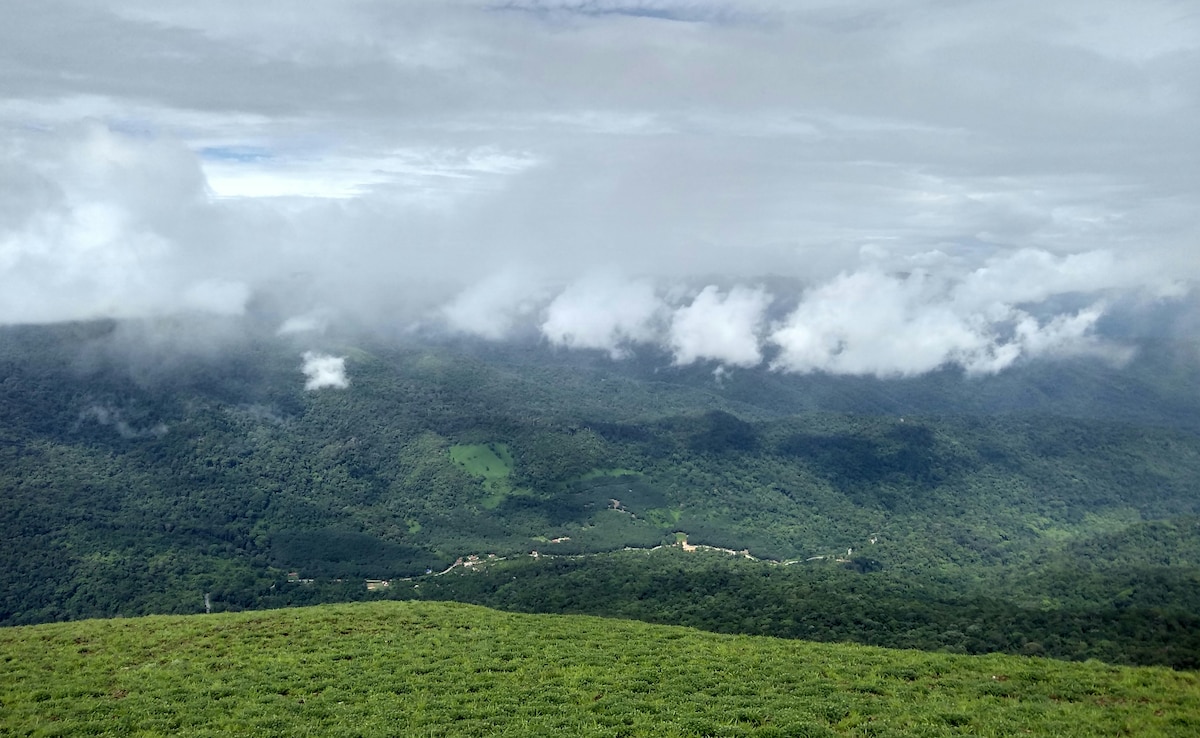 Latest and Breaking News on NDTV Latest and Breaking News on NDTV