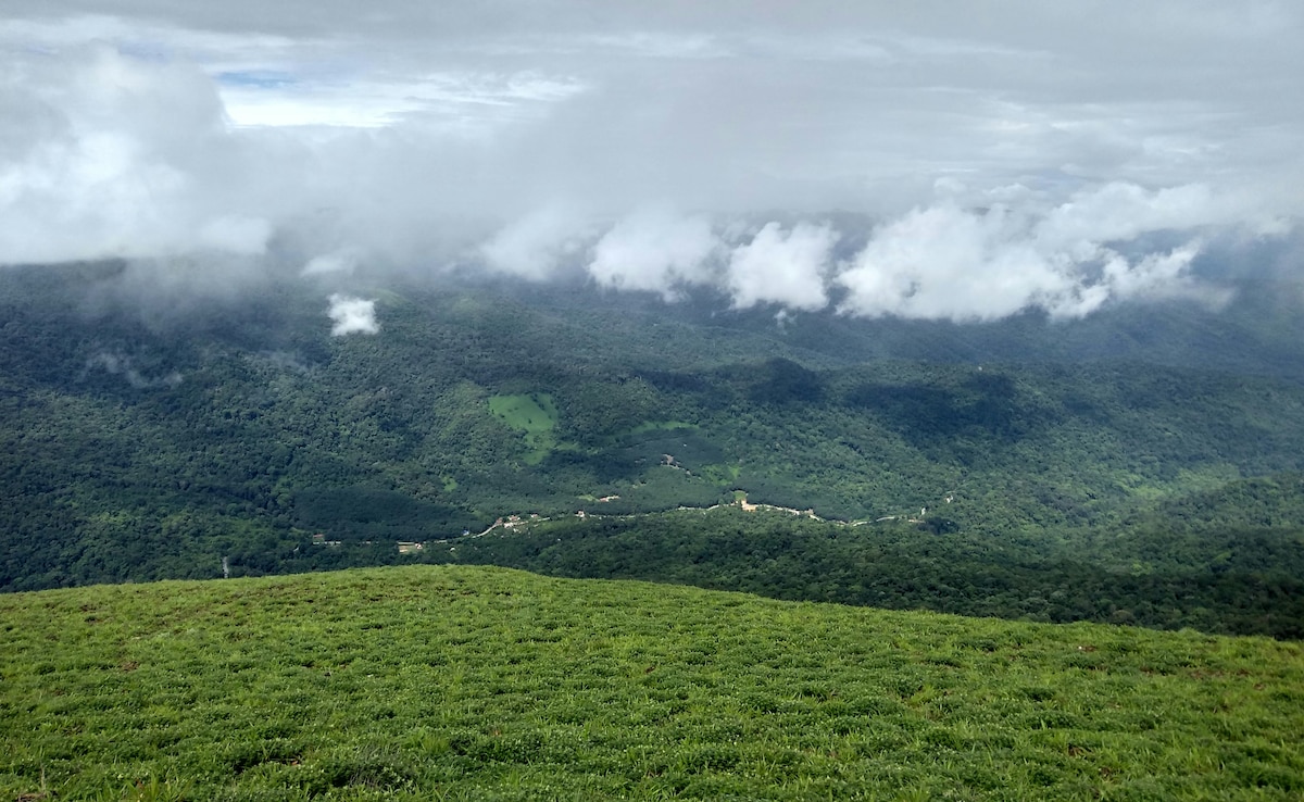 Latest and Breaking News on NDTV