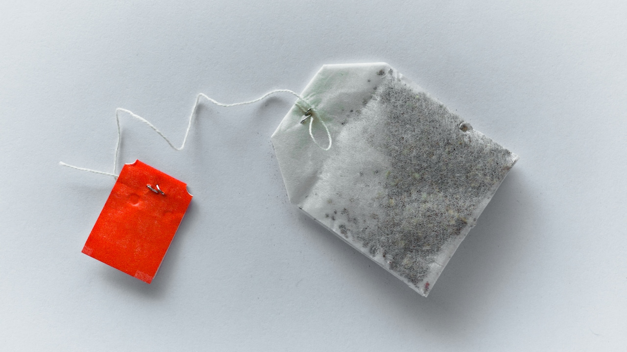 7 Best Tea Bags for Daily Use: Green Tea, Herbal and More