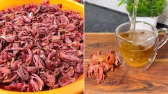 जावित्री की चाय पीने के क्या फायदे हैं? न्यूट्रिशनिस्ट ने बताया जावित्री किस काम आती है