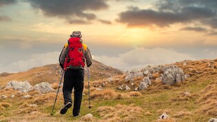 न्यू ईयर पर करने जा रहे हैं ट्रेकिंग? इन 5 बातों का रखना ध्यान, ट्रेक करना हो जाएगा आसान