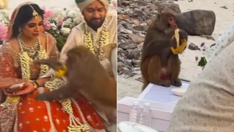 मंडप में चल रहा था कन्यादान, तभी दुल्हन के ऊपर कूदा बंदर, फिर जो हुआ, यूजर्स बोले- शादी में भगवान खुद आ गए!