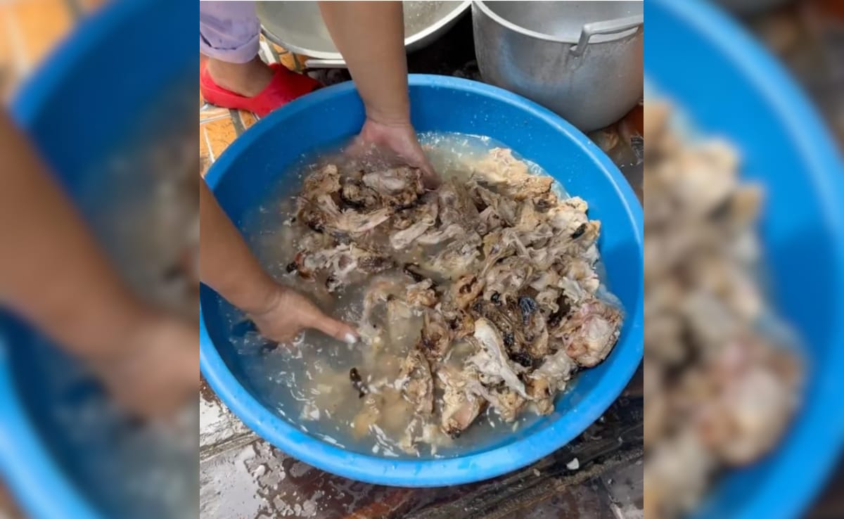 Latest and Breaking News on NDTV