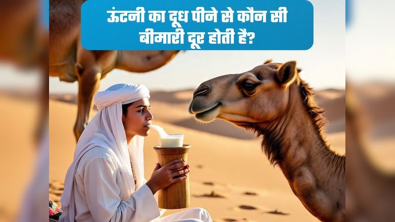 ऊंटनी के दूध को कहा जाता है सफेद सोना, कीमत और फायदे सुनकर उड़ जाएंगे होश