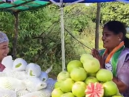 अमरूद बेचने वाली भाग्यश्री बनीं पार्षद, महाराष्ट्र निकाय चुनाव में NCP से लड़ा था इलेक्शन