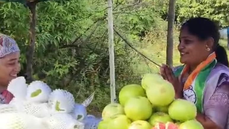 अमरूद बेचने वाली भाग्यश्री बनीं पार्षद, महाराष्ट्र निकाय चुनाव में NCP से लड़ा था इलेक्शन