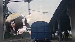 बारात में आया नाबालिग रील बनाने को मालगाड़ी पर चढ़ा, करंट लगा; हालत गंभीर होने पर इंदौर रेफर
