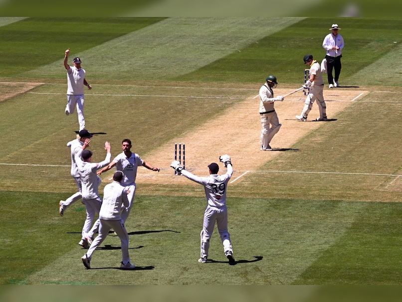 Australia's 87-Test Veteran To Retire After 5th Ashes Test: Michael Clarke