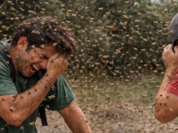 Rajasthan: BSF भर्ती परीक्षा में शामिल अभ्यर्थियों पर मधुमक्खियों ने किया हमला,18 कैंडिडेट्स को मारा डंक