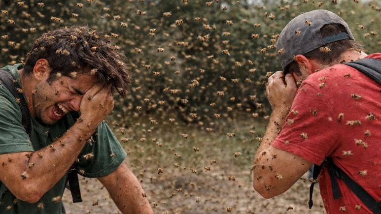 Rajasthan: BSF भर्ती परीक्षा में शामिल अभ्यर्थियों पर मधुमक्खियों ने किया हमला,18 कैंडिडेट्स को मारा डंक