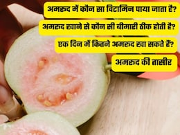 रोज एक अमरूद खाने से क्या होगा? डॉक्टर से जानें क्यों कहते हैं इसे सर्दियों का सुपरफूड