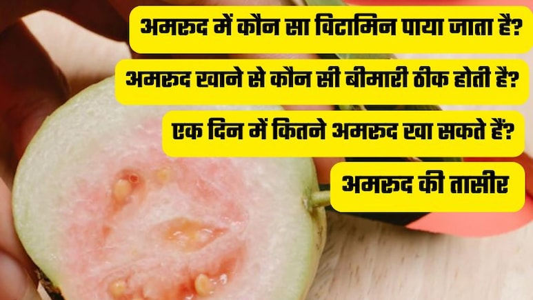 रोज एक अमरूद खाने से क्या होगा? डॉक्टर से जानें क्यों कहते हैं इसे सर्दियों का सुपरफूड