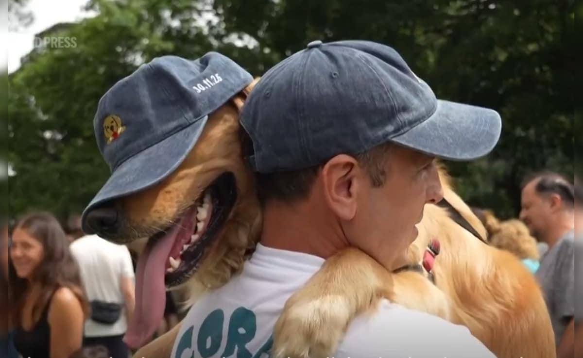 Latest and Breaking News on NDTV Latest and Breaking News on NDTV