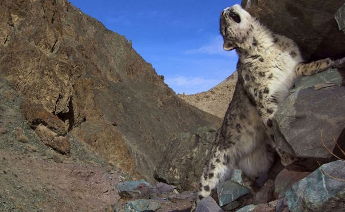 Latest and Breaking News on NDTV Latest and Breaking News on NDTV