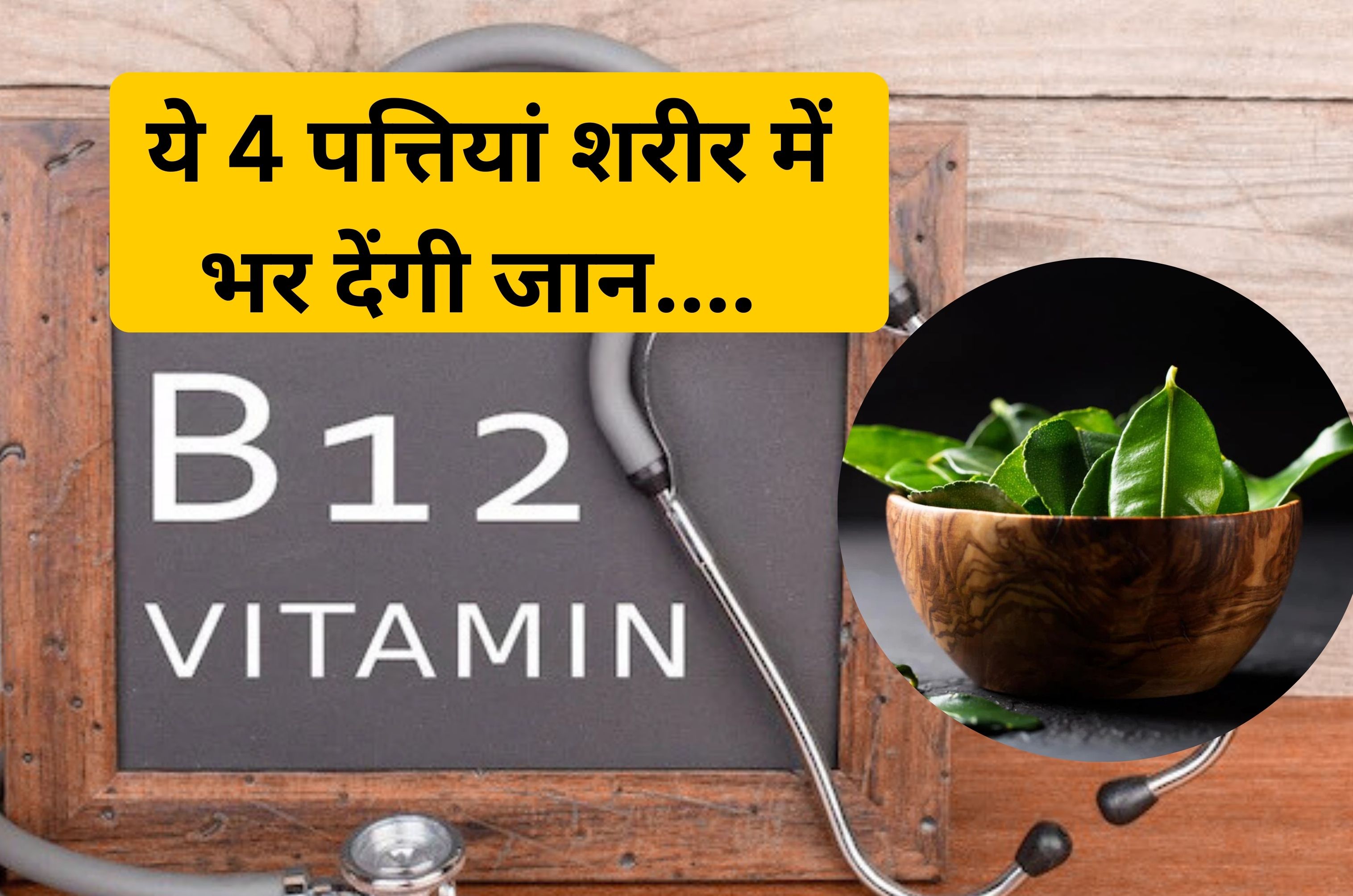 Vitamin b12 की कमी ये 4 पत्तियां कर देंगी पूरी, शरीर में कूट-कूटकर भर देंगी ताकत, कमजोरी होगी दूर