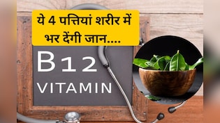 Vitamin b12 की कमी ये 4 पत्तियां कर देंगी पूरी, शरीर में कूट-कूटकर भर देंगी ताकत, कमजोरी होगी दूर