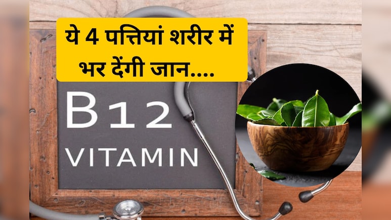 Vitamin b12 की कमी ये 4 पत्तियां कर देंगी पूरी, शरीर में कूट-कूटकर भर देंगी ताकत, कमजोरी होगी दूर