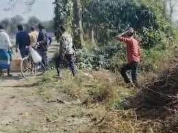 जब बियर लूटने झाड़ियों में कूद पड़े लोग, बिहार की ये घटना आपको हैरान कर देगी