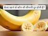 सस्ता और सर्वगुण संपन्न है ये फल,  हर उम्र में रखे सेहत का ख्याल, इन लोगों को जरूर करना चाहिए डाइट में शामिल