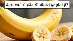 सस्ता और सर्वगुण संपन्न है ये फल,  हर उम्र में रखे सेहत का ख्याल, इन लोगों को जरूर करना चाहिए डाइट में शामिल