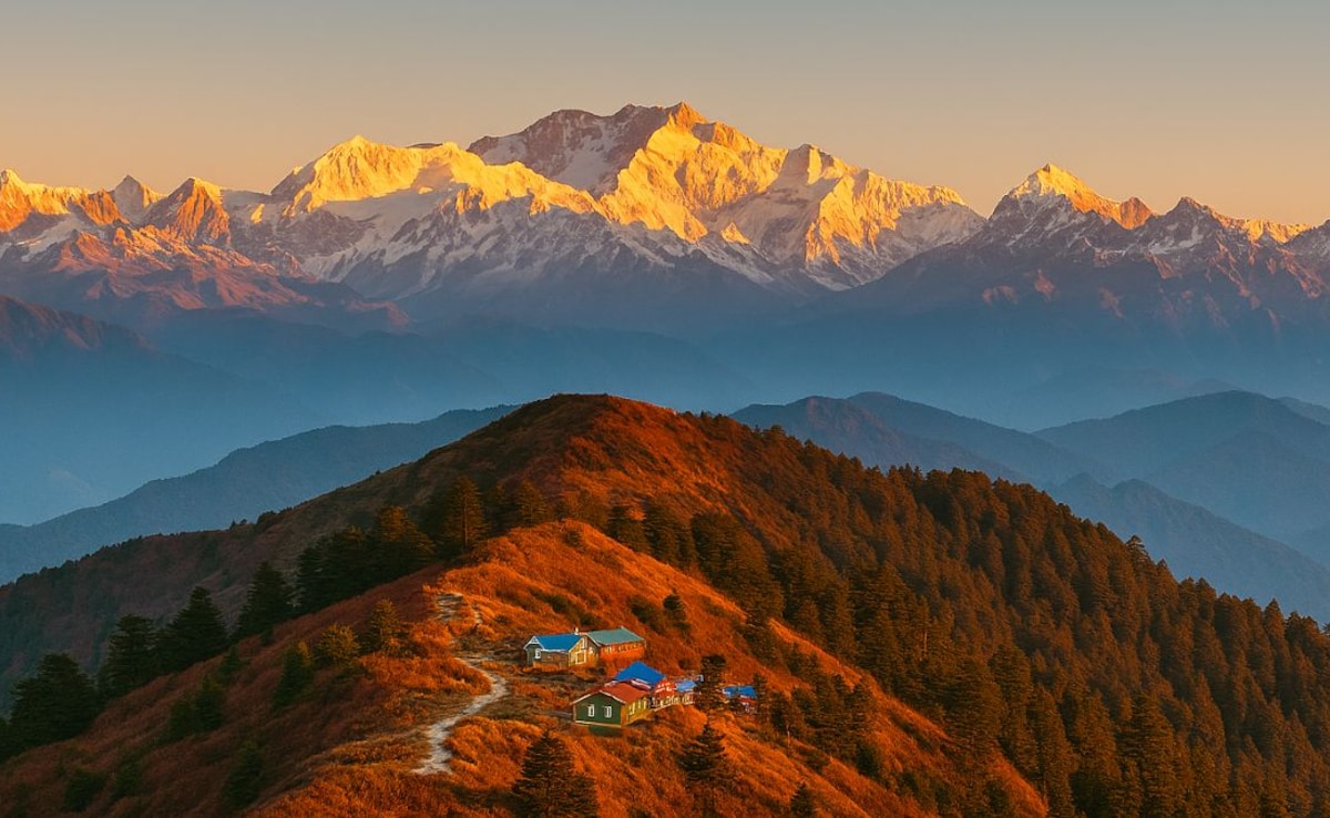 Latest and Breaking News on NDTV