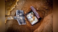 एक ही रात में हो गया मालामाल...घर के बैकयार्ड में बंदे को मिले 20,000 चांदी के सिक्के