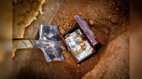 एक ही रात में हो गया मालामाल...घर के बैकयार्ड में बंदे को मिले 20,000 चांदी के सिक्के