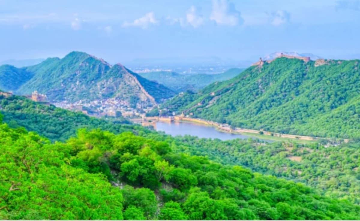 Add image caption here Add image caption here