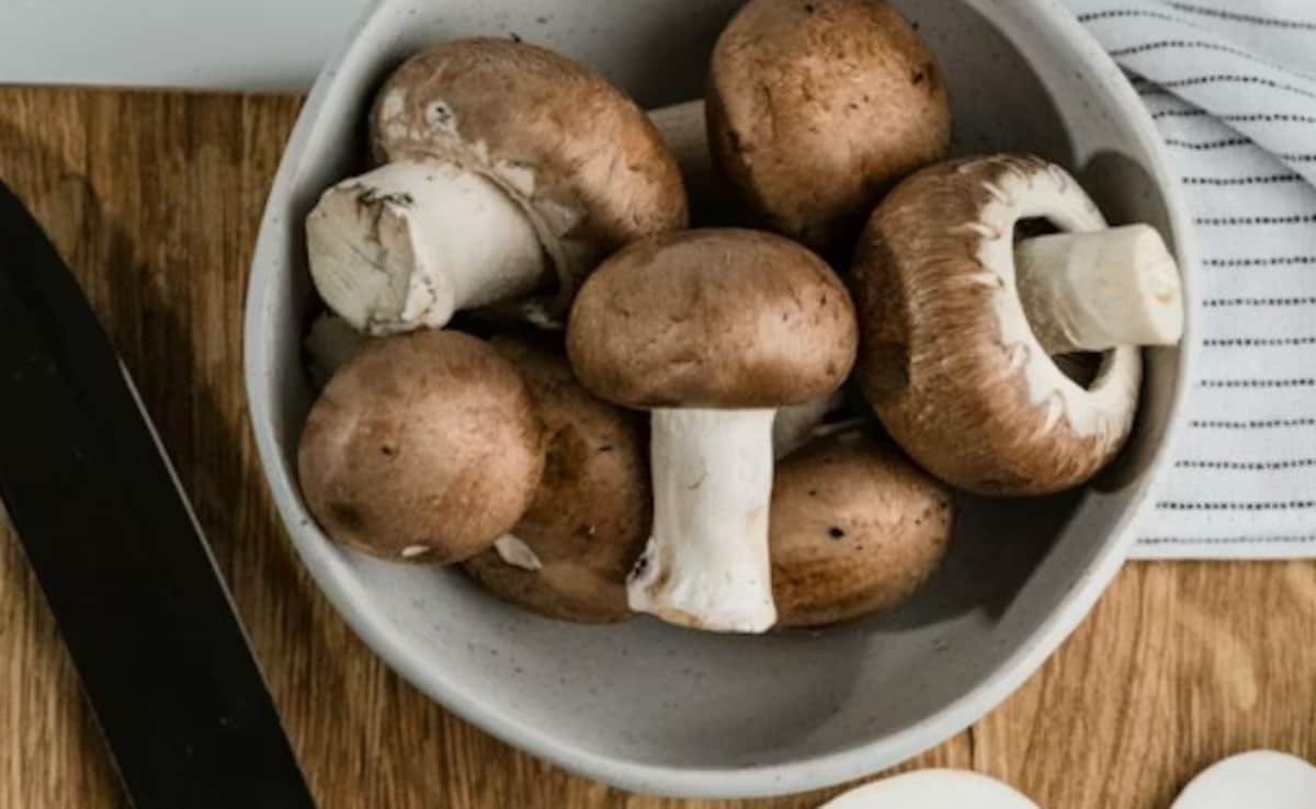 Latest and Breaking News on NDTV