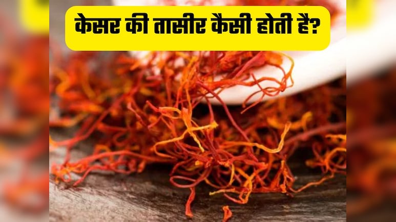 सर्दियों में केसर का सेवन करने के फायदे, केसर की तासीर कैसी होती है?