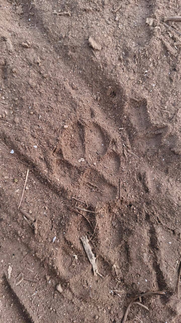 Latest and Breaking News on NDTV Latest and Breaking News on NDTV