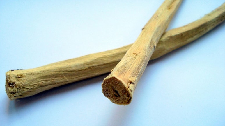 Mulethi Benefits in winter: मुलेठी के हैं फायदे अनेक, खांसी-गले की खराश करती है दूर, डाइजेशन को बनाती है बेहतर