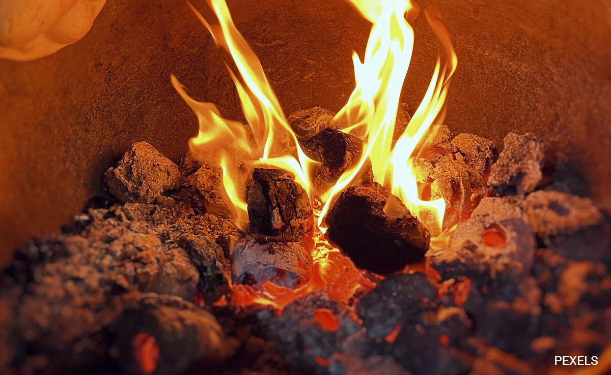 Amid High Pollution, Delhi Bans Coal, Firewood In All Restaurant Tandoors Amid High Pollution, Delhi Bans Coal, Firewood In All Restaurant Tandoors