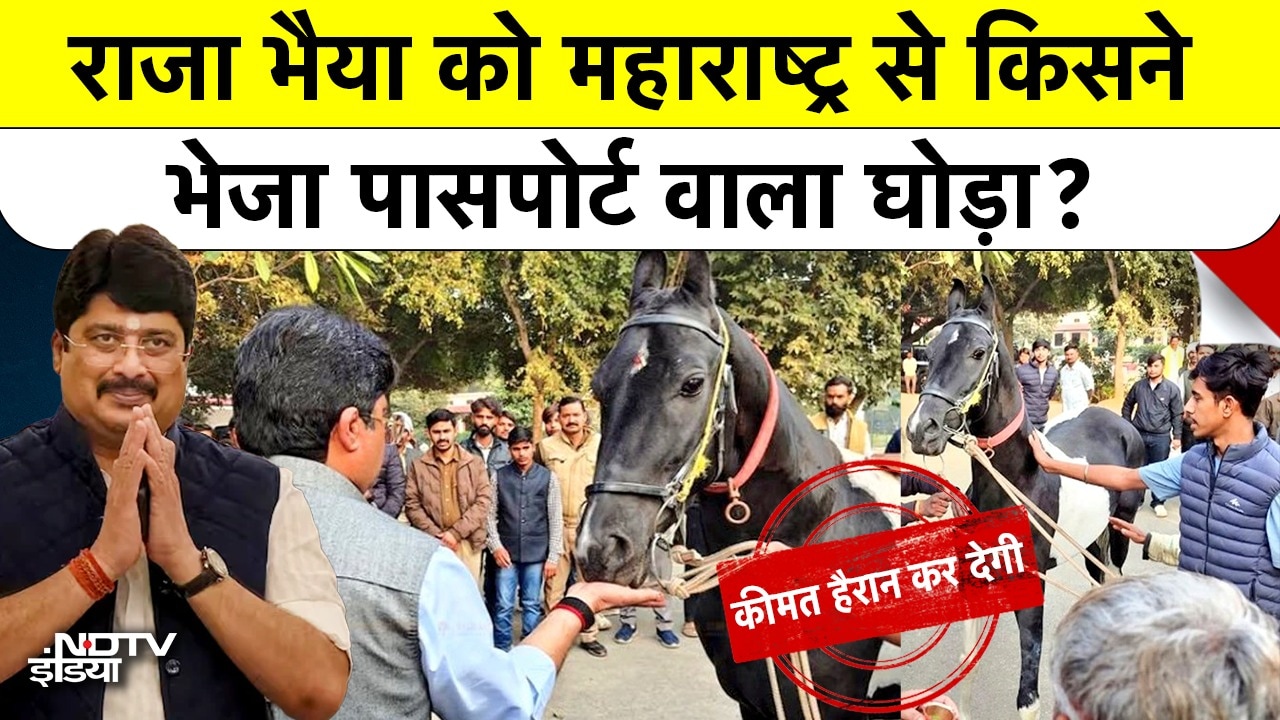 Raja Bhaiya को Maharashtra से किसने भेजा Passport वाला घोड़ा? कीमत सुनकर हैरान रह जाएंगे