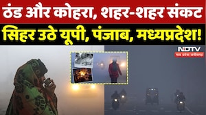 Fogg Alert: New Year पर घने कोहरे का साया, ठंड का जबरदस्त कहर! | Winter | Cold Wave | MP | Latest