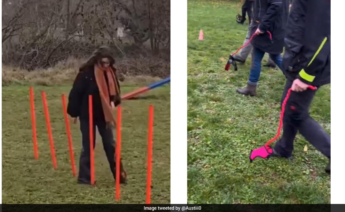 Germany's Bizarre Trend Of Training Imaginary Dogs Has The Internet Doing A Facepalm: "World's Getting Crazier"