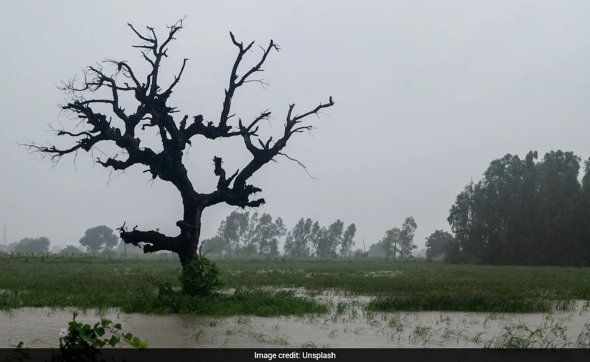 Climate In 2025: Extreme Weather Events That Shaped India's Year