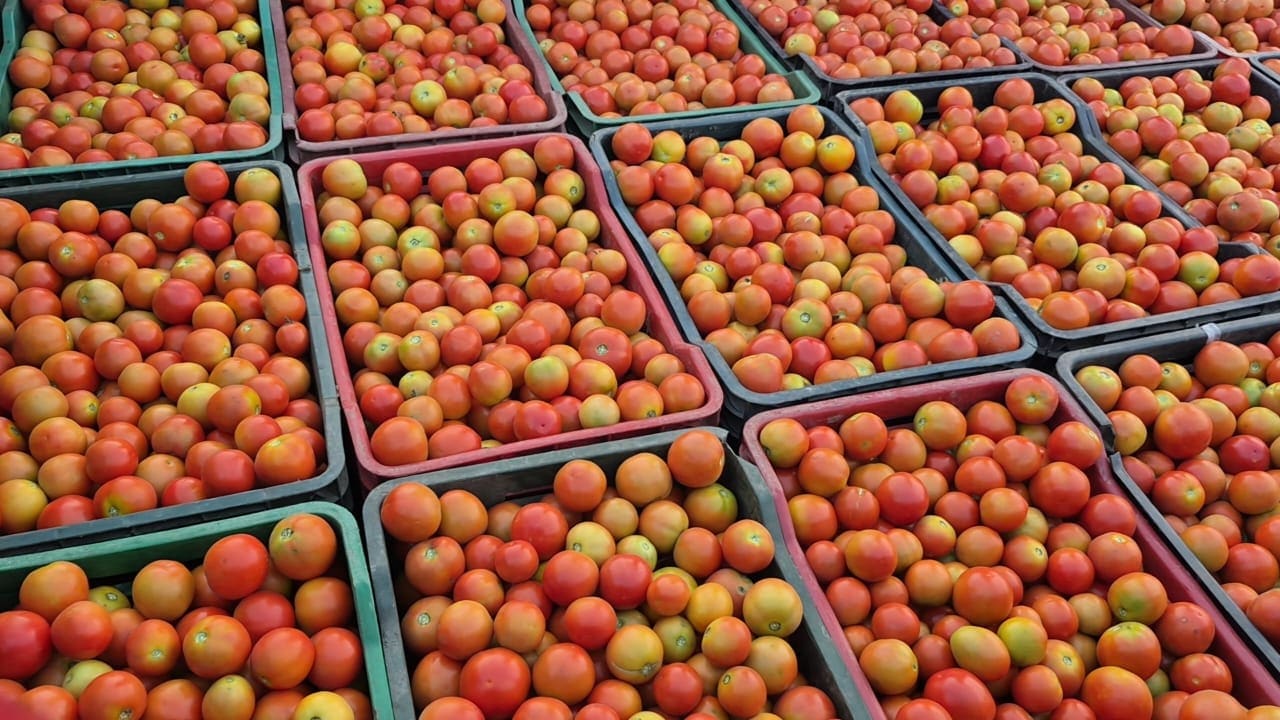 Latest and Breaking News on NDTV Latest and Breaking News on NDTV